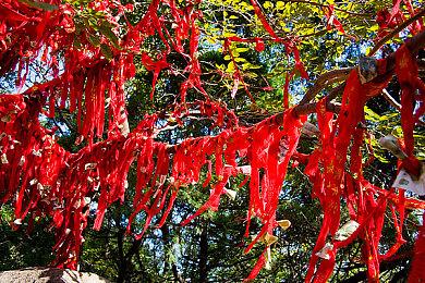 《火焰纹章：结合》概览预告片＆广告片分享